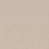 Керамогранит Сафьян беж, 40,2x40,2, арт. SG153000N