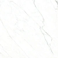 Керамогранит Statuario smart полир 120x120 9 мм