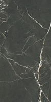 K950299R0001 SilkMarble Порто Неро Матовый R9 Рект. Универсальная плитка (60x120)