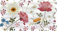Панно Dec Floret Panno A глянц, 25x45, арт. КПН16FloretA