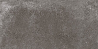 Lofthouse темно-серый C-LS4O402D. Универсальная плитка (29,7x59,8)