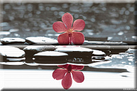 Панно Composicion Wellness Red 01 глянц, 30x45