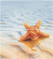 Панно Dec Starfish 1 Panno ( из 2-х шт) глянц, 50x45, арт. КПН16Starfish1