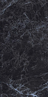GR205 Black Emperador полир. Универсальная плитка (60x120)