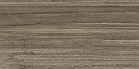 Плитка Essense Brown мат, 24,9x50 8,5 мм, арт. WT9ESS08