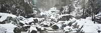 Декор Torrent Decor D, 25,1x75,6