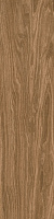 Керамогранит Escape Marrone мат, 12,5x50