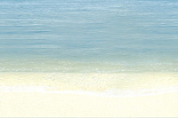 Декор Mauritius D7D138 глянц, 20x30