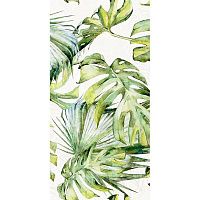 Декор Фёрнс салатный глянц 30x60 9 мм арт. 07-00-5-18-00-81-1605