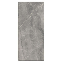 LS6S5X2 Gray Marble Lev. Универсальная плитка (120x278)