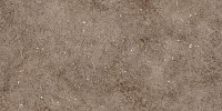 Болонья 4 коричневый. Настенная плитка (30x60)