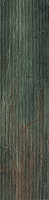 Керамогранит Fossil Lines Bruno Ret мат, 30x120