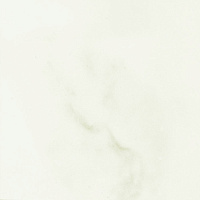 Керамогранит PAV BIANCOSPINO глянц, 30x30 12 мм, арт. MPV050