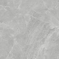 Керамогранит Сумерки серый мат 60x60 8 мм арт. 6461-0413
