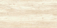 Wood Cream WT9WOD01. Настенная плитка (24,9x50)
