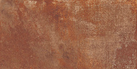 СAE3313100C Urban Rust M Glossy. Настенная плитка (31x61)