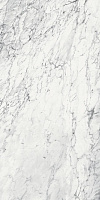 SG090800R6/D SL Капрая белый. Декор (160x320)