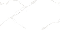 WT9ELT00 Elemento Bianco Carrara. Настенная плитка (25x50)