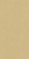 Плитка Серфейс Голд Еллоу Рет мат 80x160 8,5 мм арт. 600010002373