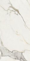 Керамогранит CANOVA CALACATTA GOLD LAP RET мат 60x120 8,5 мм арт. J93272