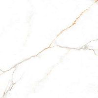 Керамогранит AUSTRAIN NATURAL GLOSSY глянц 60x60 8,5 мм арт. СК000042483