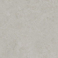 SG956300N Ферони серый светлый матовый. Универсальная плитка (30x30)