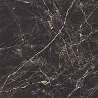 Black Arkadia черный полированный. Универсальная плитка (60x60)